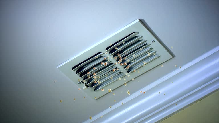 Best Commercial Air Duct Cleaning  in Gallatin, MO
